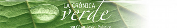 lacronicaverde